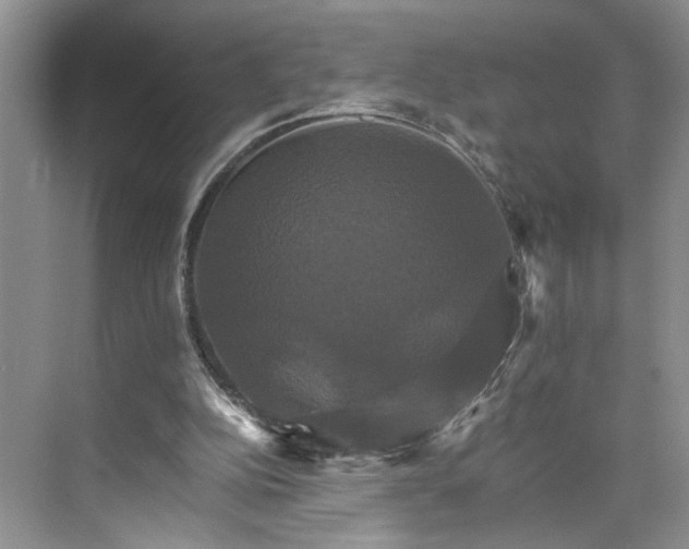 X0000075860152200609291557