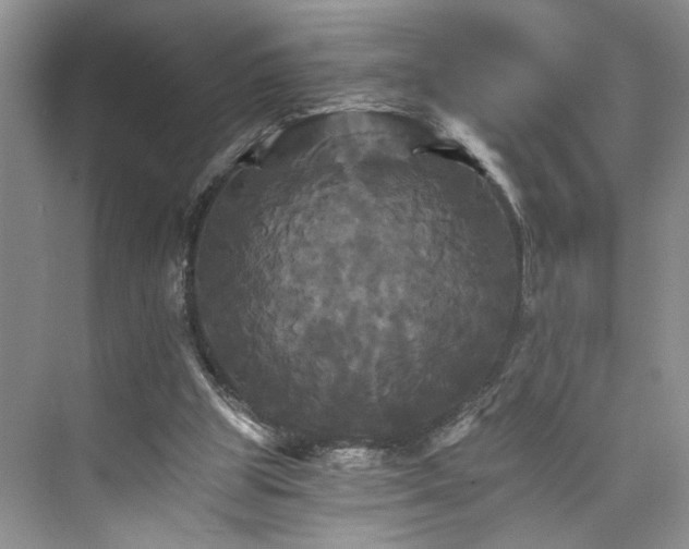 X0000075860153200609291557