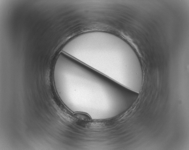 X0000075860154200609291557