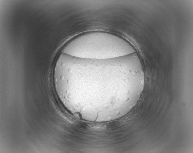 X0000075860155200609291557