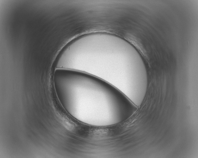 X0000075860156200609291557