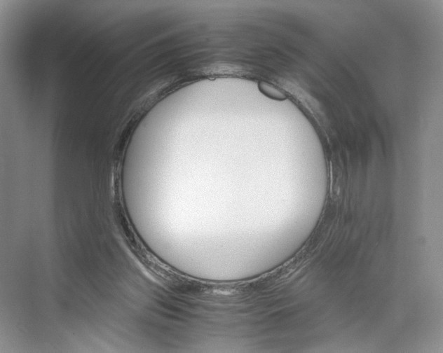 X0000075860157200609291557