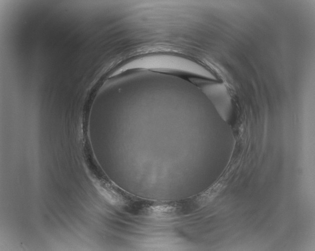 X0000075860158200609291557