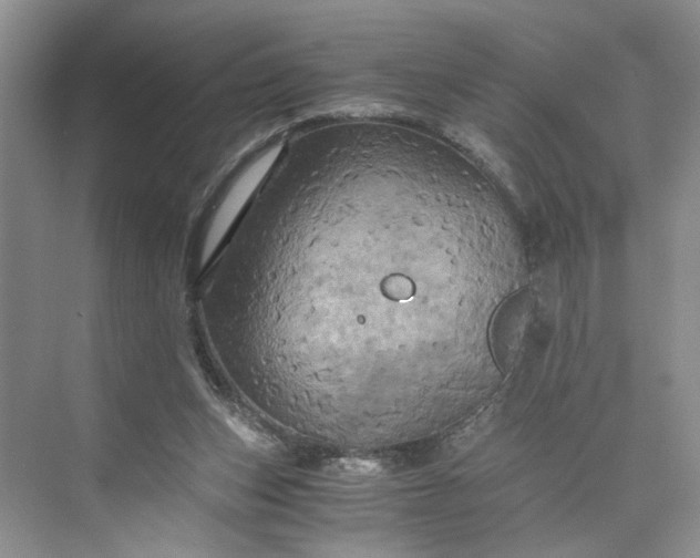 X0000075860159200609291557