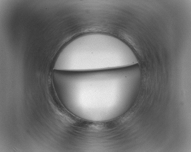 X0000075860164200609291557