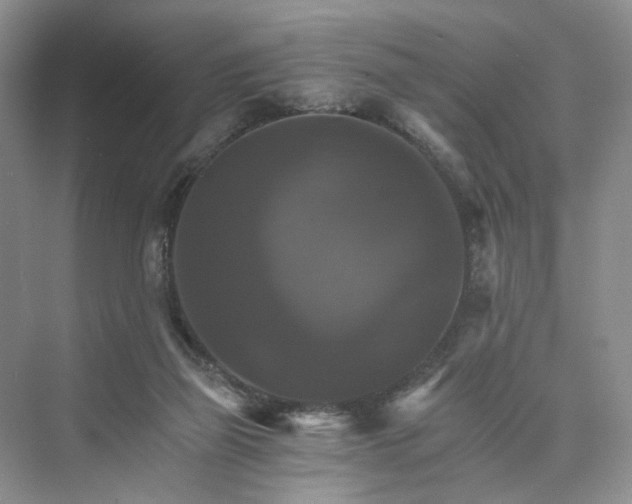 X0000075860165200609291557