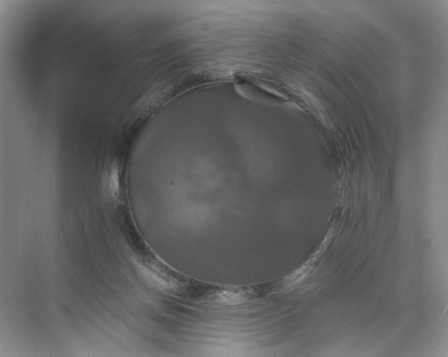 X0000075860166200609291557