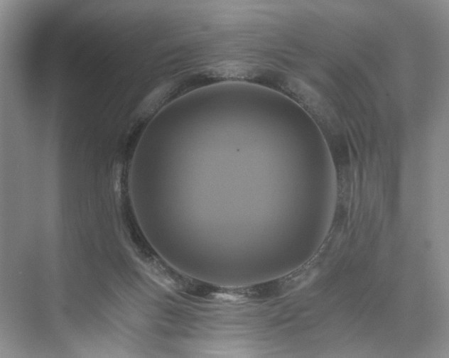 X0000075860167200609291557