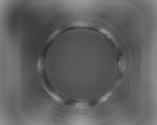 X0000075860168200609291557