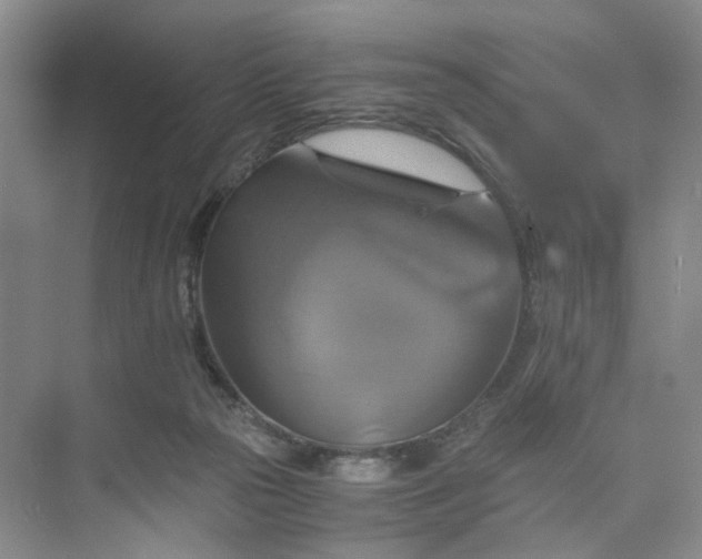 X0000075860169200609291557