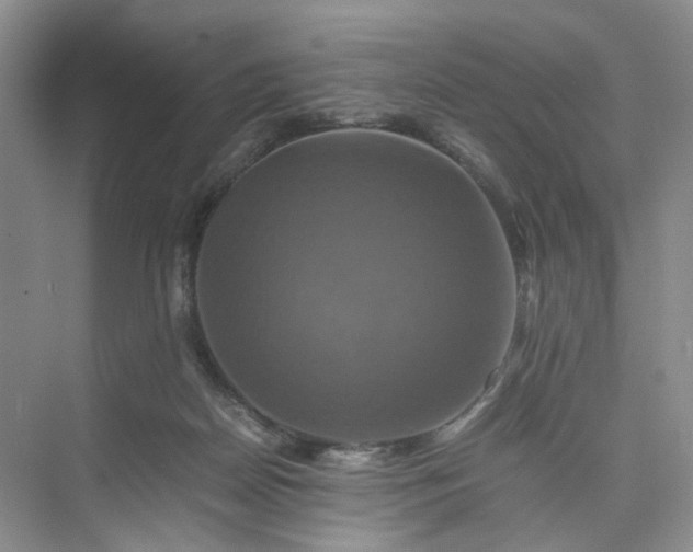 X0000075860170200609291557