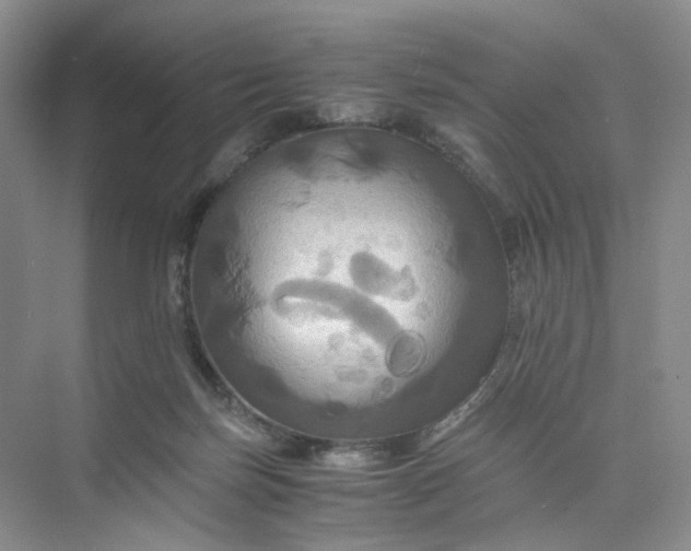 X0000075860171200609291557