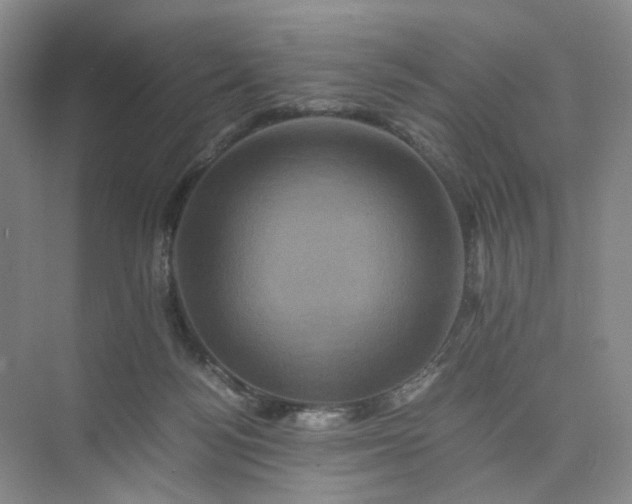 X0000075860172200609291557