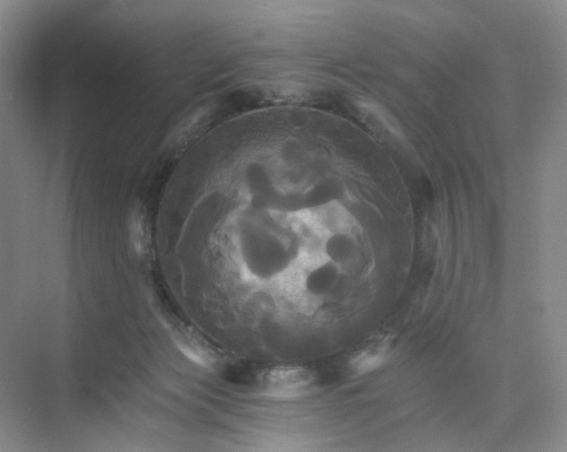 X0000075860173200609291557