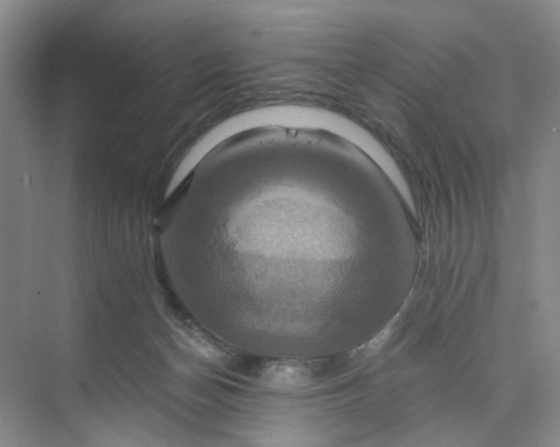 X0000075860174200609291557