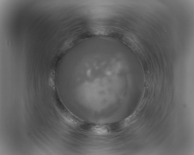 X0000075860175200609291557