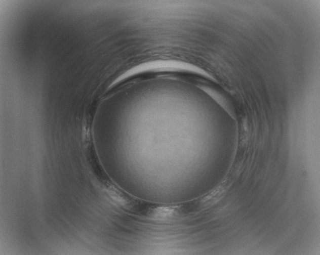 X0000075860176200609291557