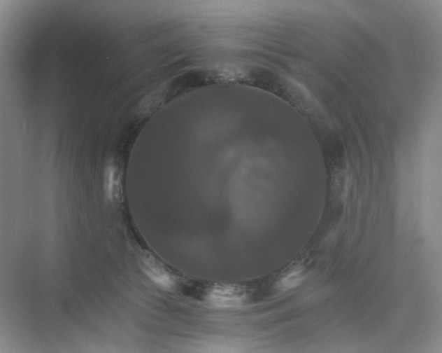 X0000075860177200609291557