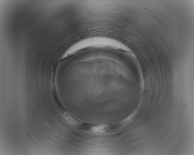 X0000075860178200609291557