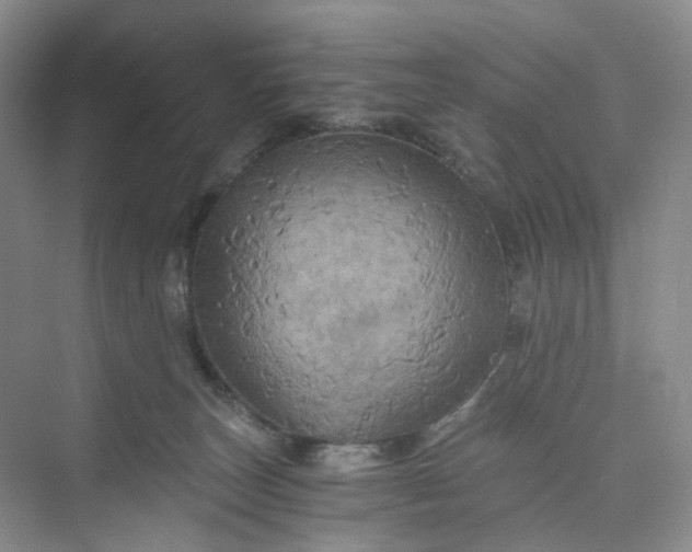 X0000075860179200609291557