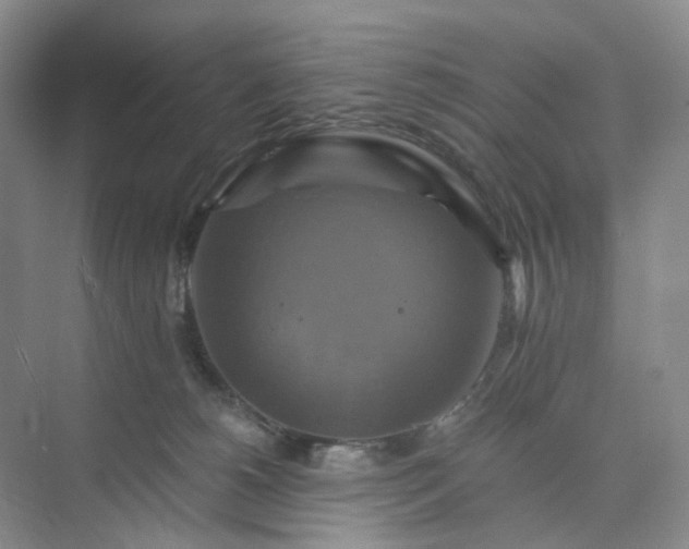 X0000075860180200609291557