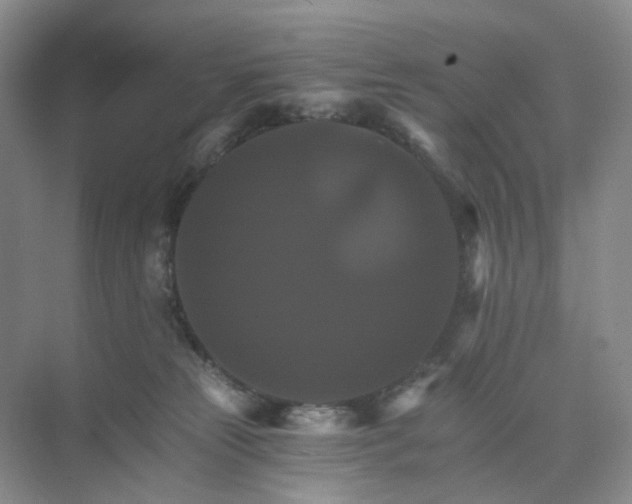 X0000075860181200609291557