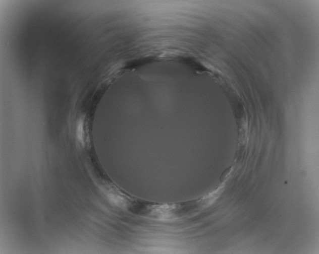 X0000075860182200609291557