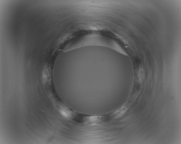 X0000075860184200609291557