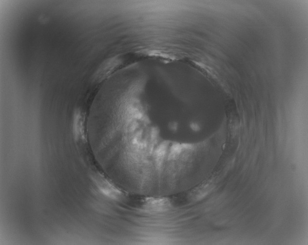 X0000075860185200609291557