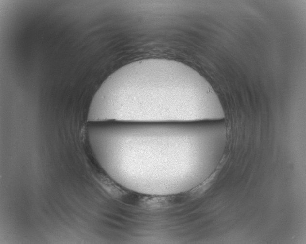 X0000075860186200609291557