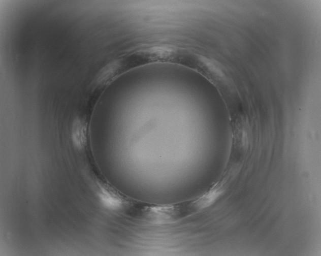 X0000075860188200609291557