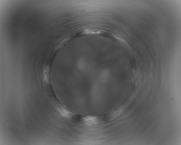 X0000075860189200609291557