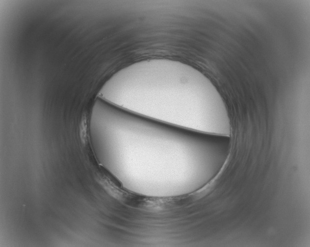 X0000075860190200609291557