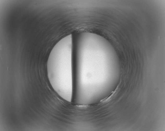 X0000075860192200609291557