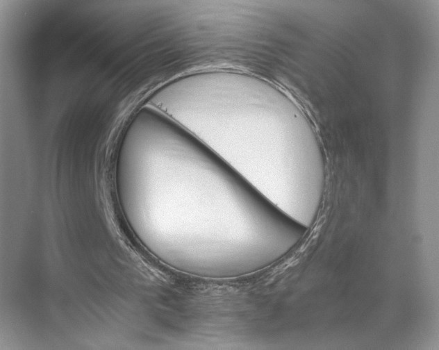 X0000075860193200609291557