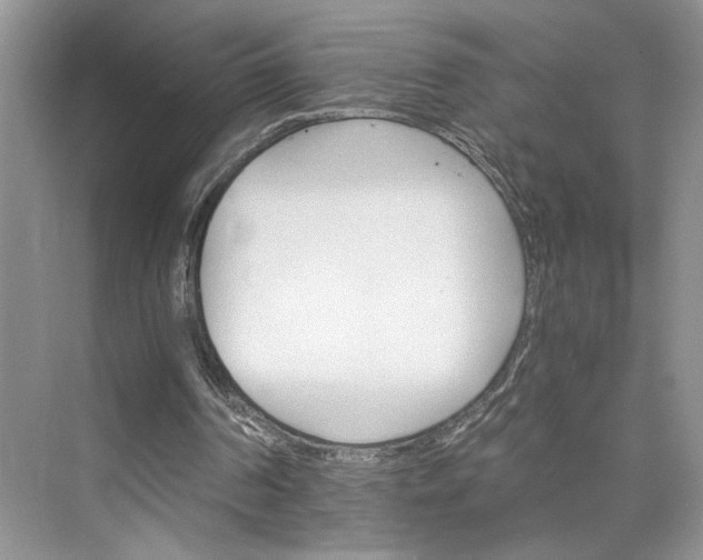 X0000075860194200609291557