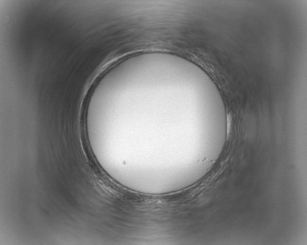 X0000075860195200609291557