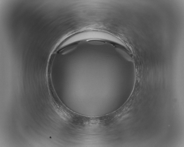 X0000075860196200609291556