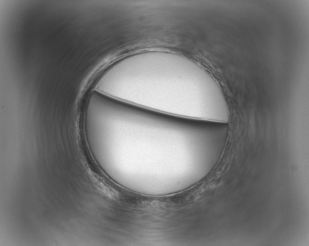 X0000075860197200609291556