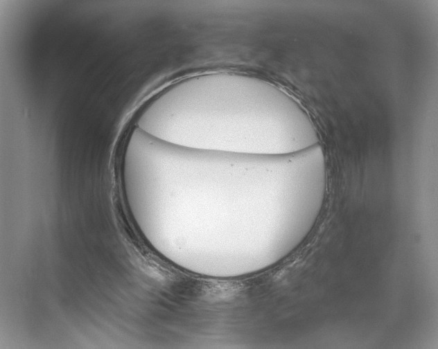 X0000075860198200609291556