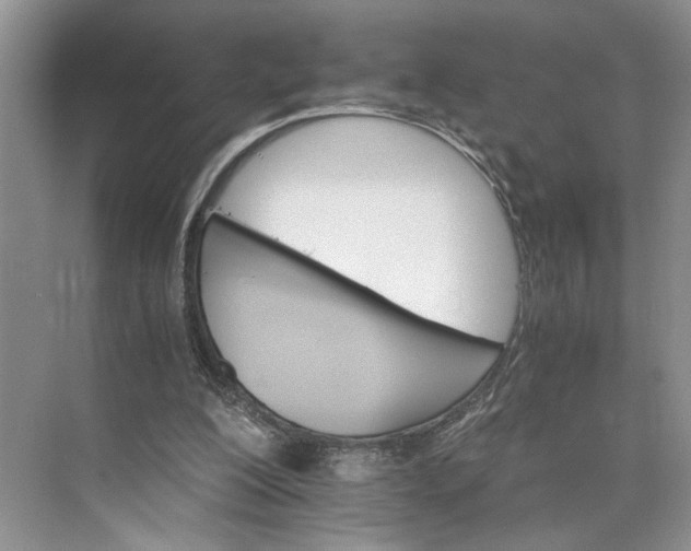 X0000075860200200609291556