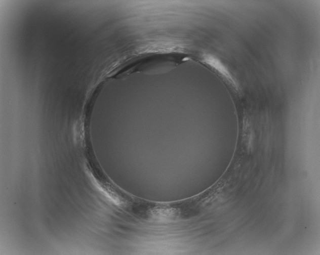 X0000075860202200609291556