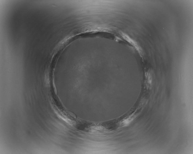 X0000075860203200609291556