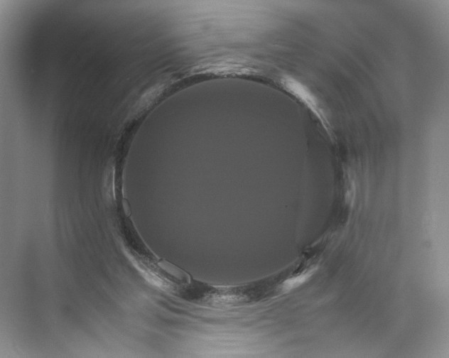 X0000075860205200609291556