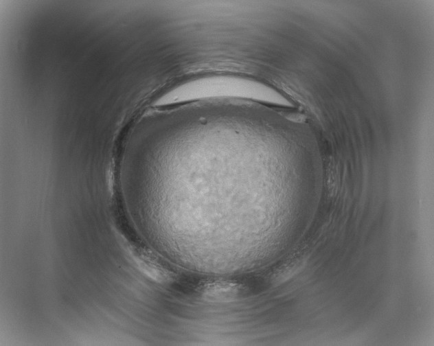 X0000075860206200609291556