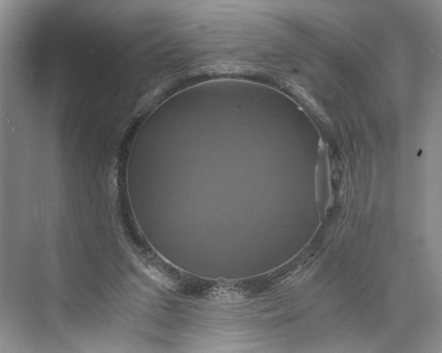 X0000075860207200609291556