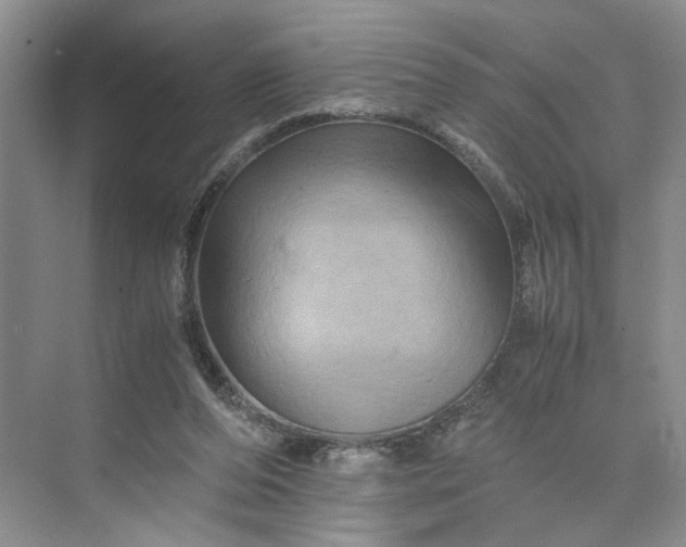 X0000075860208200609291556