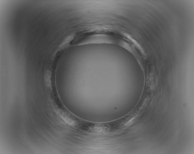 X0000075860209200609291556