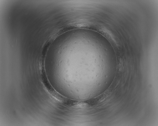 X0000075860210200609291556