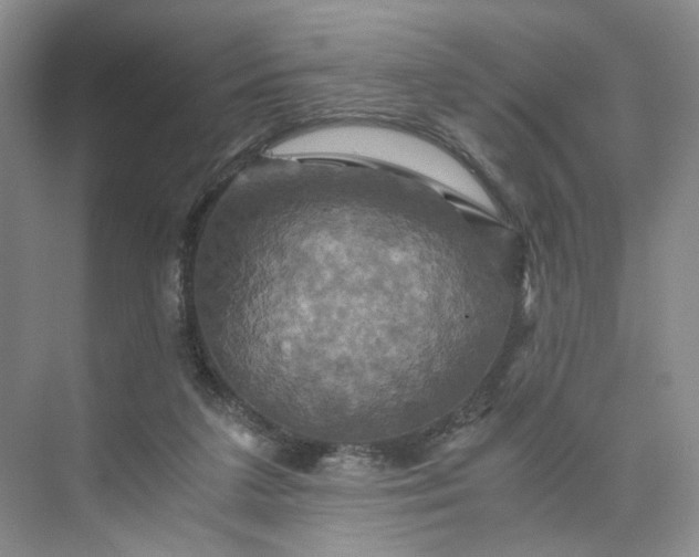 X0000075860211200609291556